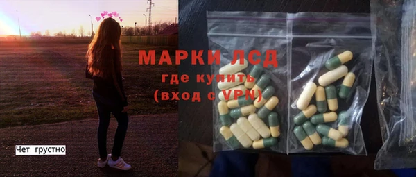 apvp Бородино