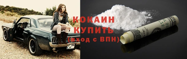 apvp Бородино