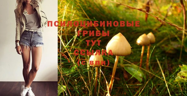 Альфа ПВП Бронницы