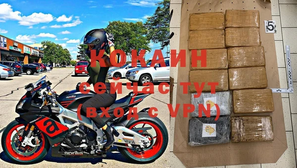 apvp Бородино