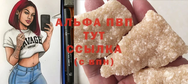 apvp Бородино