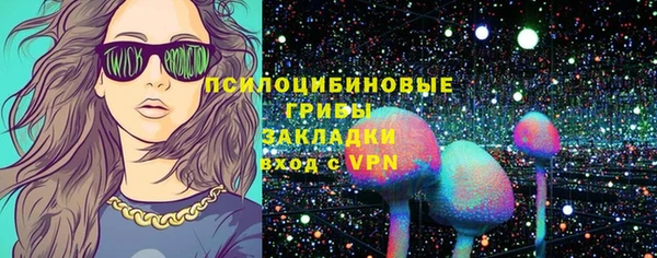 apvp Бородино
