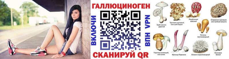 Псилоцибиновые грибы Cubensis  Когалым 